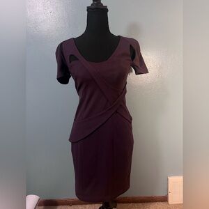 Ali ro plum colored dress​​​
